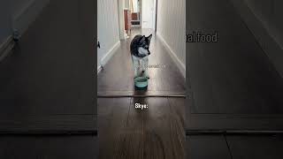 One happily gives it a try. The other knows something isn’t quite right.