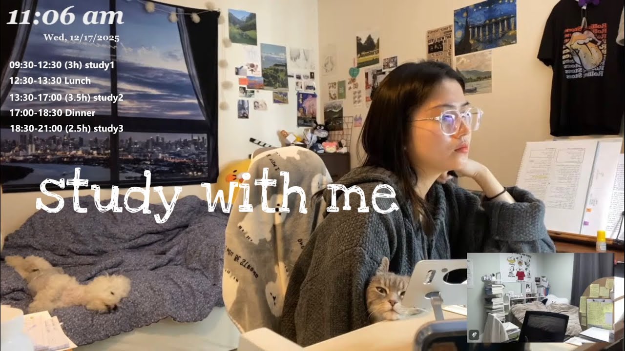 메리 클스🎄LIVE study with me/ 스터디윗미📚/ 천둥 빗소리, 장작asmr