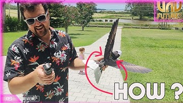 ORNITHOPTER REVIEW. copying nature to gain flight.