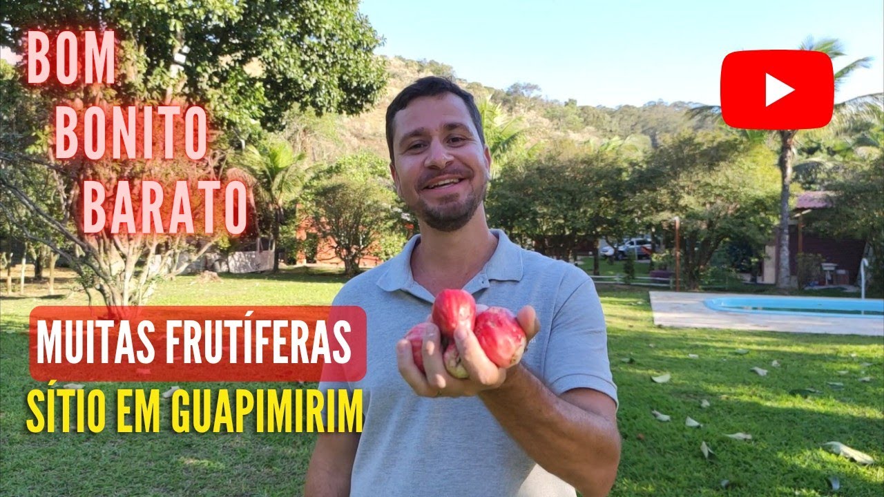 INDISPONÍVEL Sítio barato em Guapimirim Rio de Janeiro, com 2.500m² Várias frutíferas produzindo