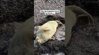 Met The Happiest Local In Devon Today