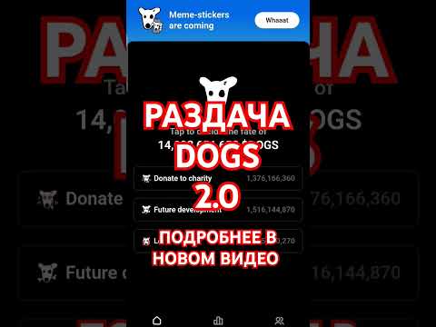 DOGS РАЗДАЁТ ТОКЕНЫ
