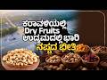 ಆಮದ ನ ತ ಗ ಡ ಬ ಉದ ಯಮಕ ಕ ಸ ಕಷ ಟ War Impact Hits Cashew Industry India Udayavani ಆಮದ ನ ತ ಗ ಡ ಬ ಉದ ಯಮಕ ಕ ಸ ಕಷ ಟ War Impact Hits Cashew Industry India Udayavani