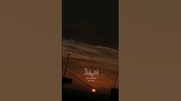 🌹قُلْ إِنَّ صَلَاتِي وَنُسُكِي🌹 سورة🌹 الأنعام 🌹🌹 ماهر🌹المعيقلي🌹
