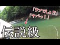 【貴重映像】ついに出た! とある源流域で伝説の巨大オショロコマをキャッチ! 【北海道 渓流ルアー】 Hokkaido.Mountain Stream Lure Fishing.