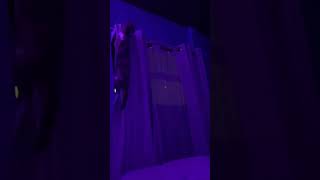 Cat Climbing the Curtain to Catch a Mouse