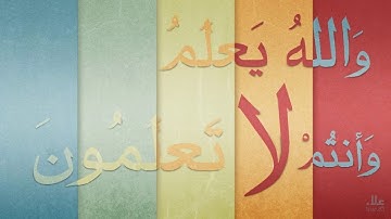 قتيبة الزويد    أوائل سورة الدخان