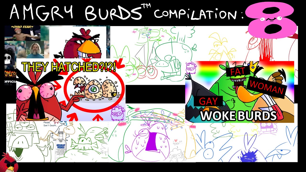 AMGRY BURDS COMPILATION 8- SamuSplat