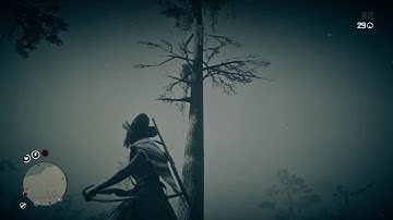 Red Dead Redemption 2 - Online - Trader - 10