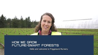 How we grow future-smart forests