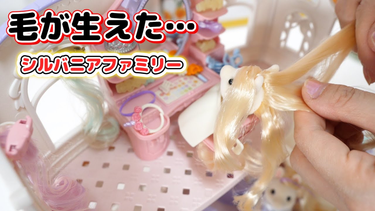 毛が生えたシルバニアファミリーがこちらです こうじょうちょー Youtube