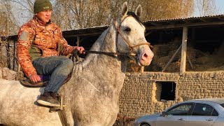 November 24, 2025// Leader Kambarda✊️