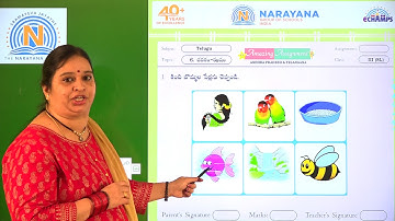 11TH DEC AP CLASS III SL TELUGU ASSIGNMENT KEY