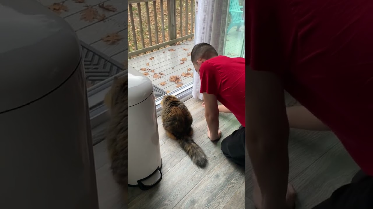 @dollface1230_: They’be discovered a leaf! 