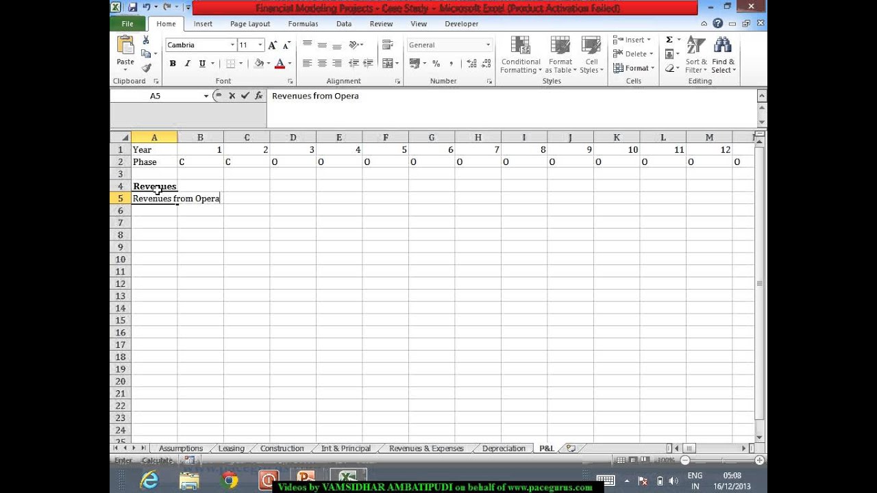 project profit and loss statement