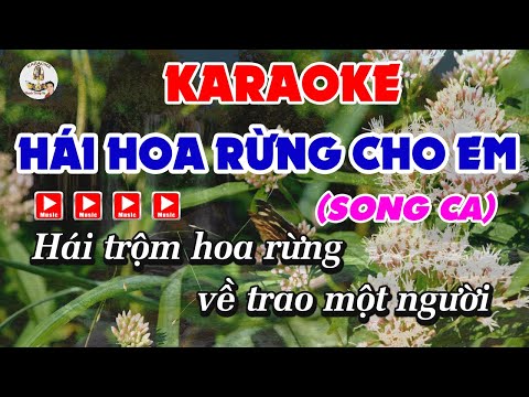 Karaoke - Hái Hoa Rừng Cho Em - Song Ca.Nhạc Sống Beat Chuẩn Dể Hát (Thành Trung Gb )