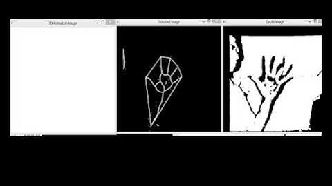 Convex Hull for Hand Skeleton Extraction
