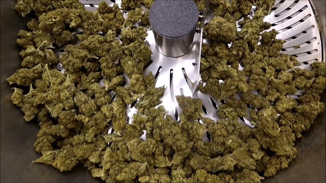 MJBizCon 2021 Las Vegas Convention Center Green Broz Inc Private VIP Before the Main Event Party!