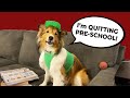 "I'm QUITTING PRESCHOOL!" 📚🐶 a Biscuit Talky Compilation on Cricket "the sheltie" Chronicles