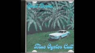 Watch Blue Oyster Cult Late Night Street Fight video