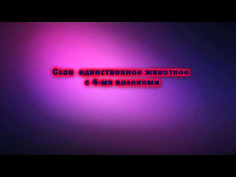 Интересные факты Выпуск