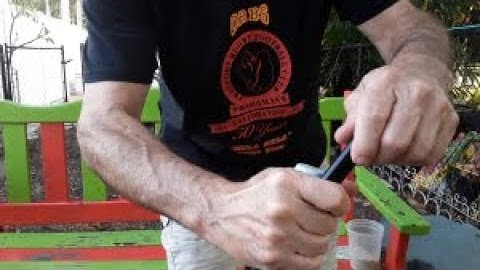 No Bottle Opener, No Problem