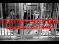 Foucault's Philosophy | Discipline and Punish: The Birth of the Prison