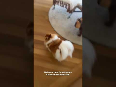 Vanessa Lopes (@vanessalopesr_) archived Instagram Stories compilation from June 7, 2026