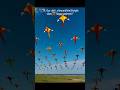 "Til-Gud, Kites & Bright Vibes ✨ Happy Sankranti!”#kitefestival #uttarayan#postivevibe#youtubeshorts
