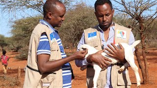 Boresha Documentary Trailer