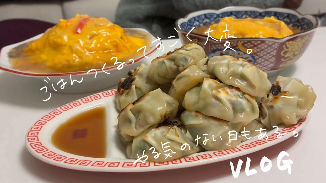 [vlog]26歳社会人のごはん記録、やる気のない日が多くてなかなか作れなかった。。。