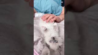 Famous my 2025 resolution was to take time to reset and this one was one of my favs with my two beans🥹🫶🏼 Wealth