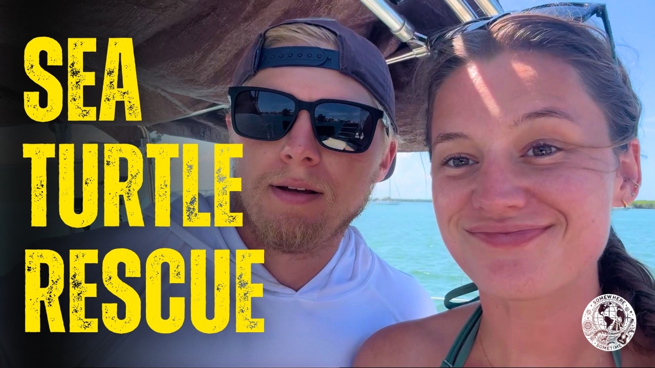 Off the Dock after 1 Year! — Engine Fails, First Sail, Anchor Disaster & Sea Turtle Rescue! | Ep 018