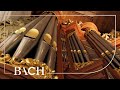 Bach - Aus tiefer Not schrei ich zu dir BWV 687 - Smits | Netherlands Bach Society