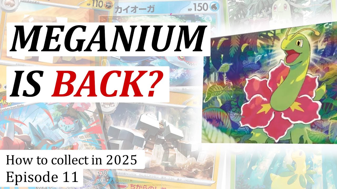 Meganium's Back? - What To Collect in 2025