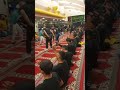 اکبرم گل اصغرم گل قاسمم گل با مداحی حامد جان کریمی اکبرم گل اصغرم گل قاسمم گل با مداحی حامد جان کریمی