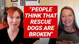 How to Be a Hero for Homeless Dogs in 2025