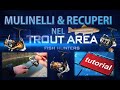 MULINELLI & RECUPERI NEL TROUT AREA Tutorial #04