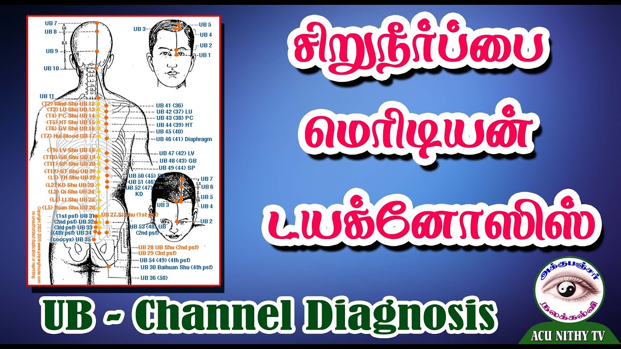 சிறுநீர்ப்பை மெரிடியன் டயக்னோஸிஸ் (UB- MERIDIAN DIAGNOSIS)