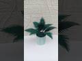 DIY plant craft ideas #craft #diy #youtubeshorts #shorts #viral