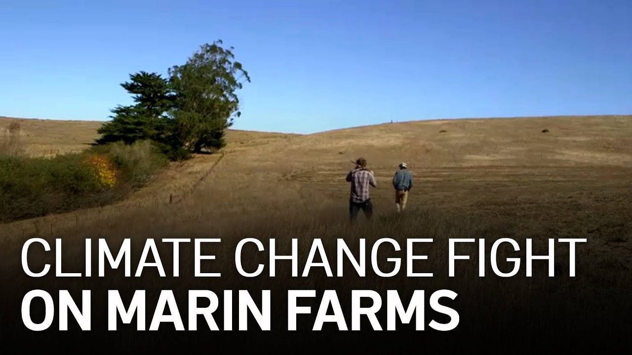 Marin Carbon Project Seeks to Slow Effects of Climate Change for Farmers