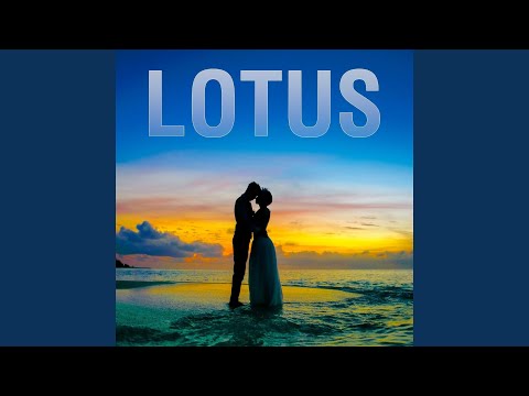 YouTubeでLotuseを視聴
