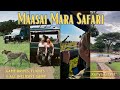 Affordable African Safari in the MASAI MARA (Game Drives, Camp &amp; Flights)•KENYA