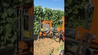 Leaf Remover BINGER EB490 Professional At Work || Demo in Germany || Season 2026 | #vineyard #shorts