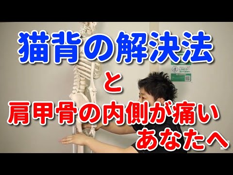 猫背が気になり、肩甲骨の内側が痛いあなたへ『福岡　肩甲骨』