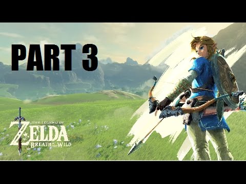 Breath Of The Wild: THE KEESE WING