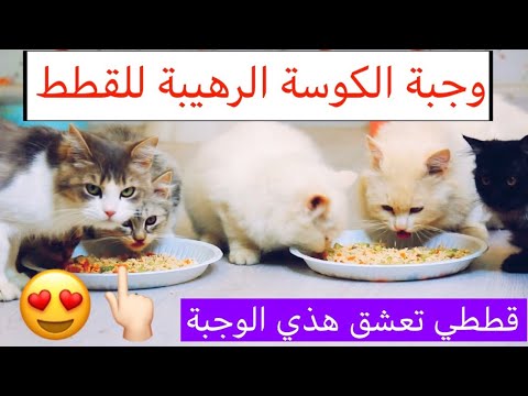 فيديو: اعتبارات الربيع للقطط