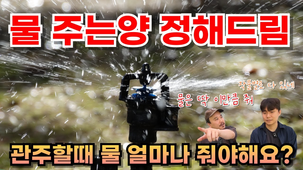 작물별 물 주는 법 총정리! 관수·관주 농가 필수 시청! | 비료전문가가 알려주는 물 주는 양