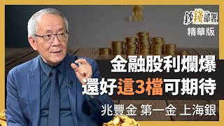 精華💰金融股股利爆爛 還好這3檔還能期待 兆豐金合理價位揭曉《鈔錢部署》盧燕俐 ft.李永年 20230326