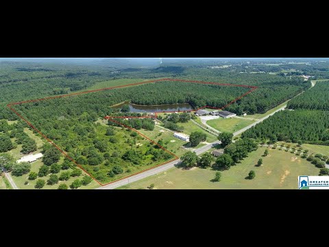 29 1, Jemison, AL home video tour